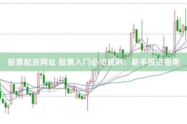 股票配资网址 股票入门必知规则：新手投资指南