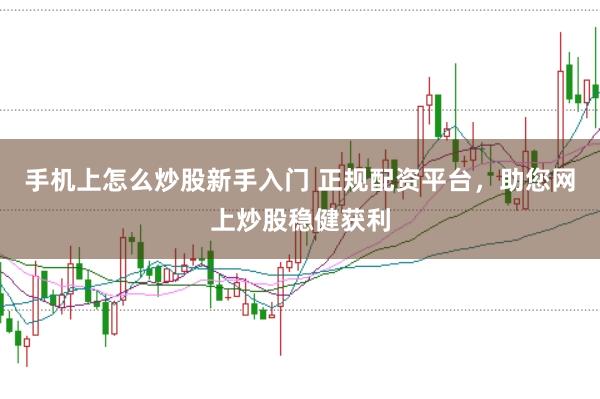 手机上怎么炒股新手入门 正规配资平台，助您网上炒股稳健获利