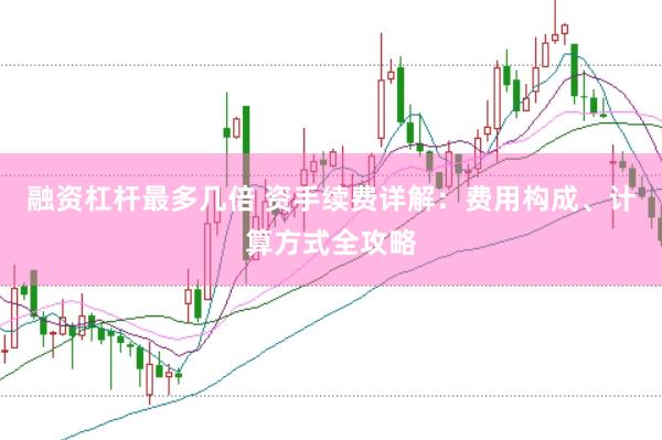 融资杠杆最多几倍 资手续费详解：费用构成、计算方式全攻略