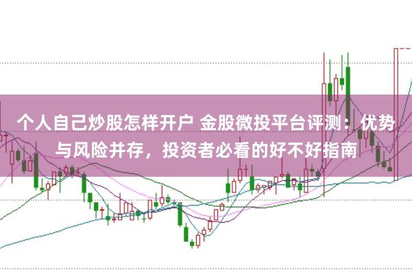 个人自己炒股怎样开户 金股微投平台评测：优势与风险并存，投资者必看的好不好指南