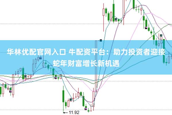 华林优配官网入口 牛配资平台：助力投资者迎接蛇年财富增长新机遇