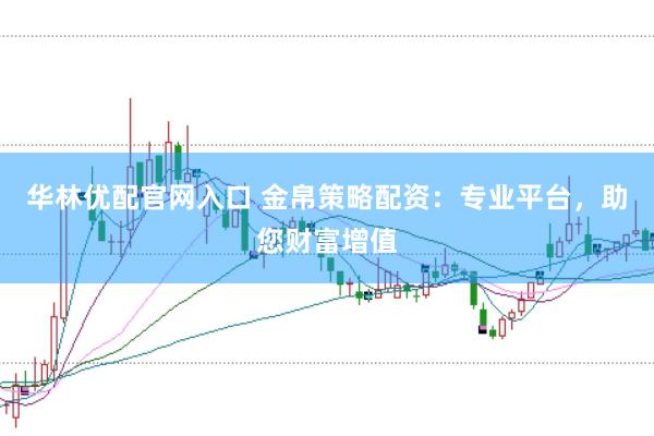 华林优配官网入口 金帛策略配资：专业平台，助您财富增值