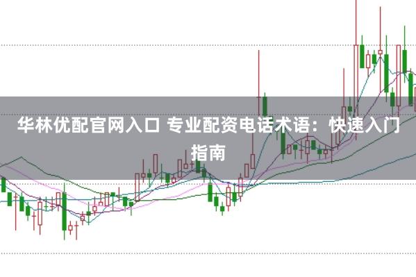华林优配官网入口 专业配资电话术语：快速入门指南