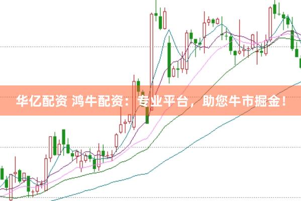 华亿配资 鸿牛配资：专业平台，助您牛市掘金！