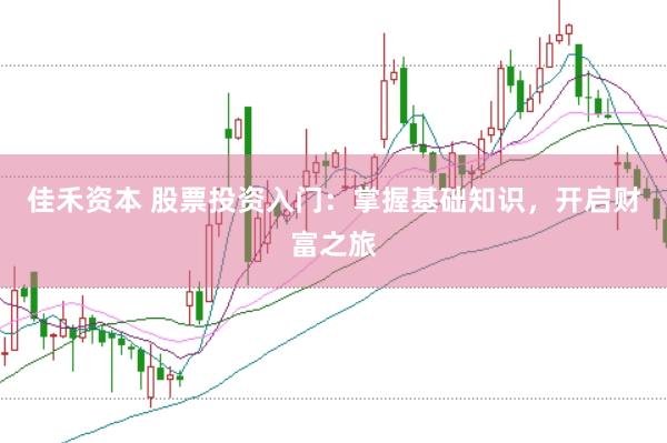 佳禾资本 股票投资入门：掌握基础知识，开启财富之旅