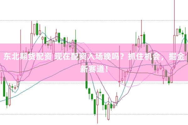 东北期货配资 现在配资入场晚吗？抓住机会，掘金新赛道！
