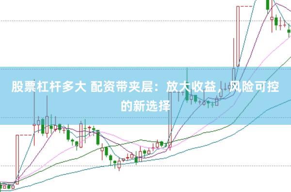 股票杠杆多大 配资带夹层：放大收益，风险可控的新选择