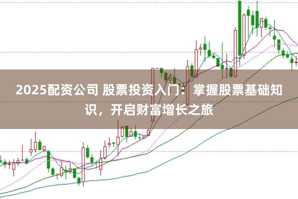 2025配资公司 股票投资入门：掌握股票基础知识，开启财富增长之旅