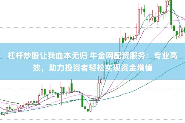 杠杆炒股让我血本无归 牛金网配资服务：专业高效，助力投资者轻松实现资金增值