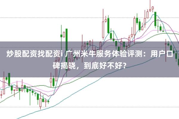 炒股配资找配资i 广州米牛服务体验评测：用户口碑揭晓，到底好不好？
