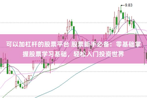 可以加杠杆的股票平台 股票新手必备：零基础掌握股票学习基础，轻松入门投资世界