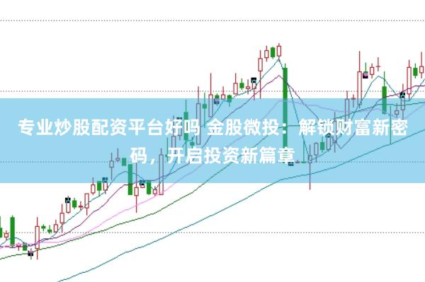 专业炒股配资平台好吗 金股微投：解锁财富新密码，开启投资新篇章