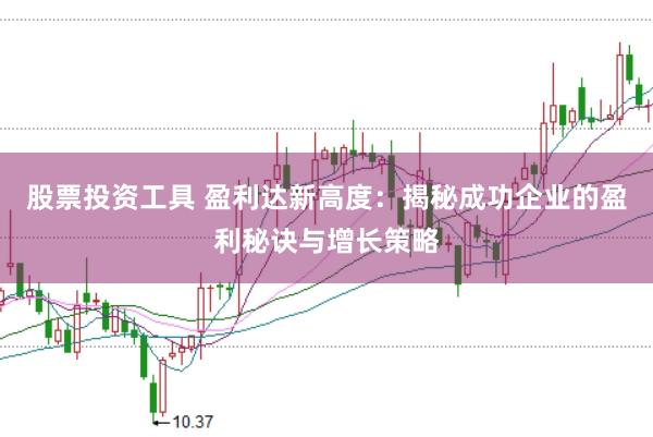 股票投资工具 盈利达新高度：揭秘成功企业的盈利秘诀与增长策略