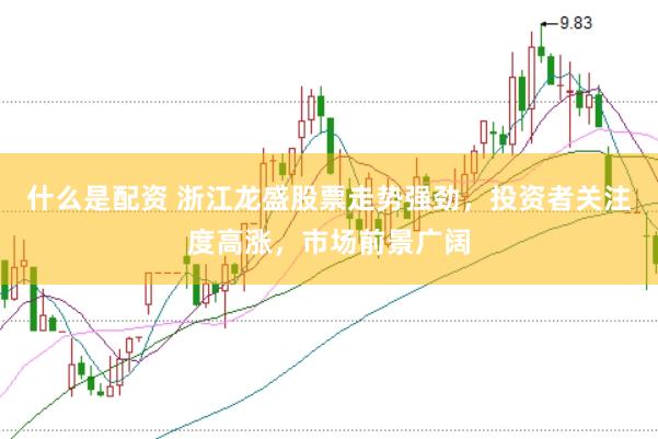 什么是配资 浙江龙盛股票走势强劲，投资者关注度高涨，市场前景广阔