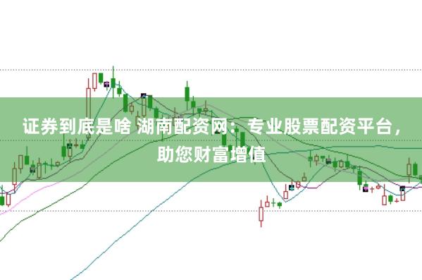 证券到底是啥 湖南配资网：专业股票配资平台，助您财富增值