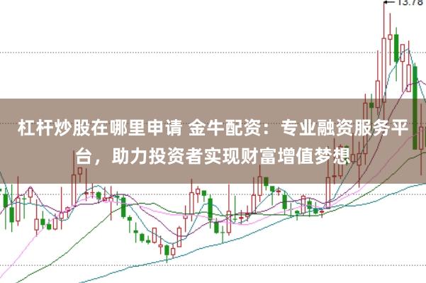杠杆炒股在哪里申请 金牛配资：专业融资服务平台，助力投资者实现财富增值梦想