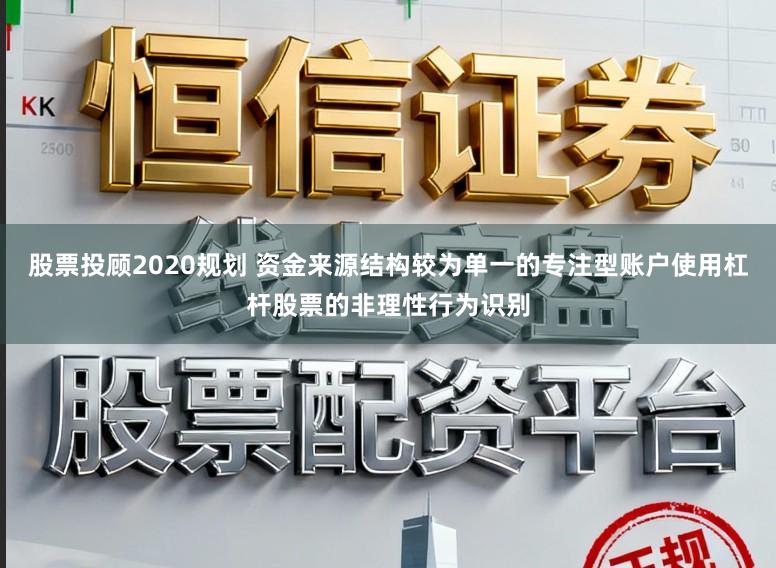 股票投顾2020规划 资金来源结构较为单一的专注型账户使用杠杆股票的非理性行为识别