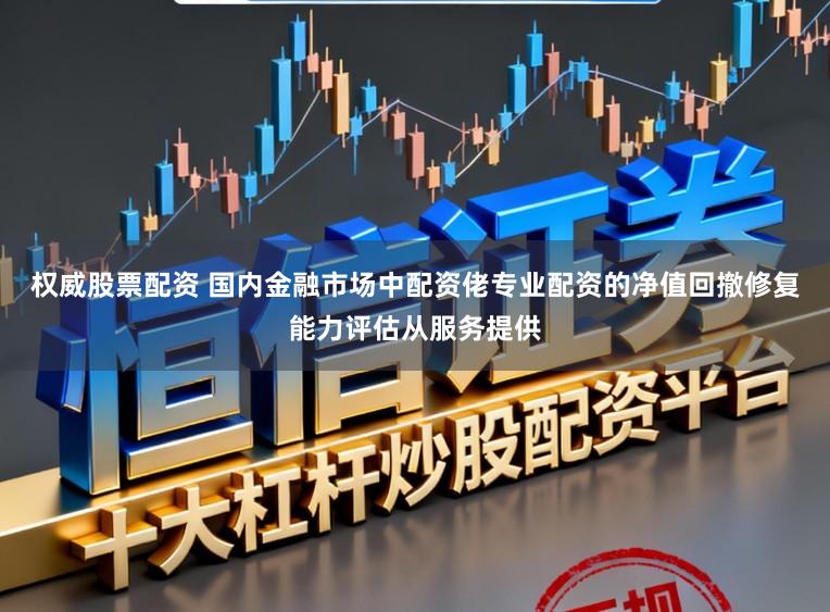权威股票配资 国内金融市场中配资佬专业配资的净值回撤修复能力评估从服务提供